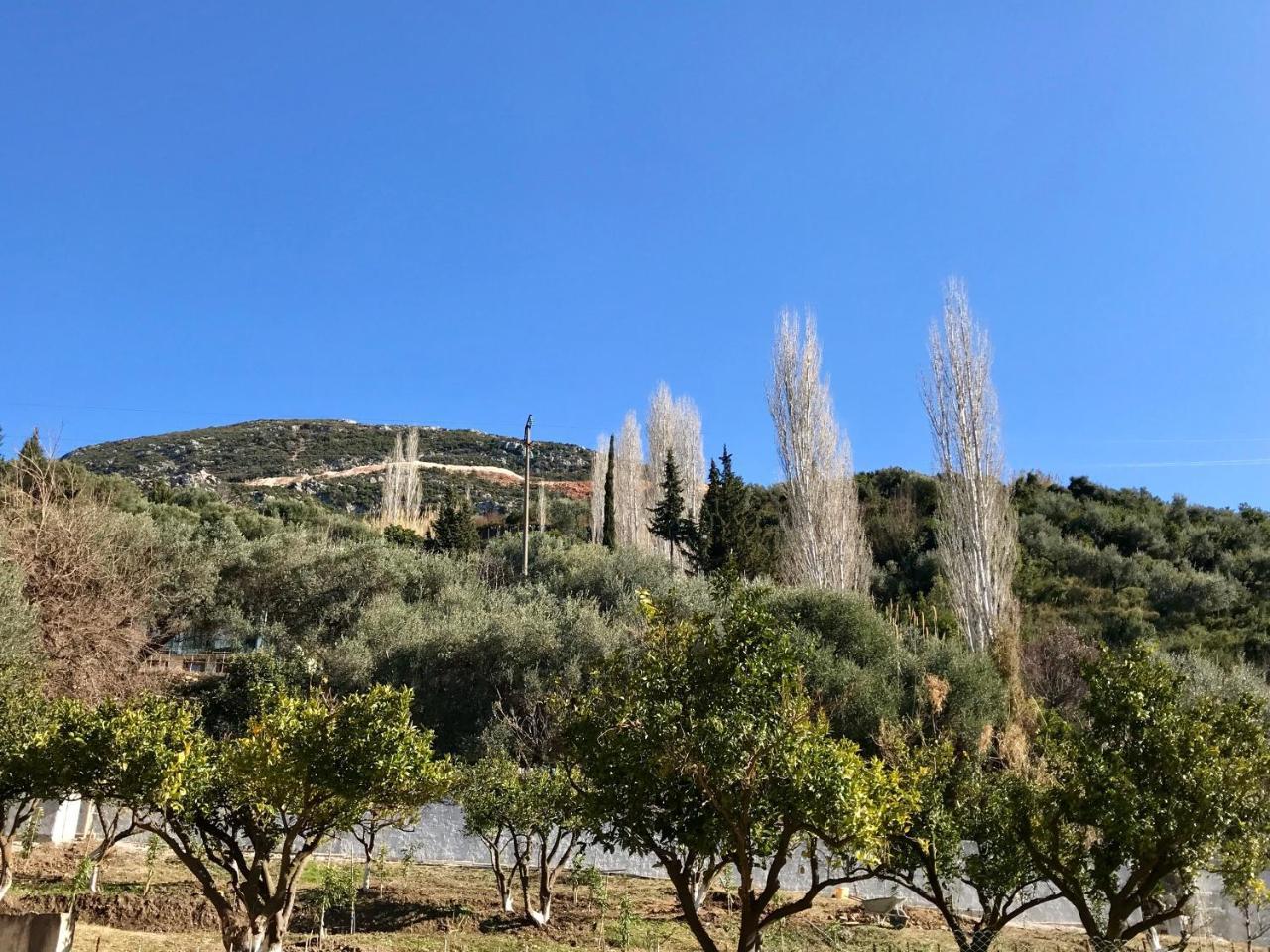Vlore View Apartment Экстерьер фото